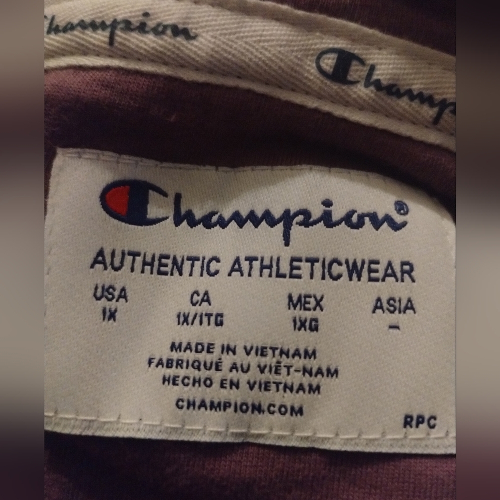 Champion Womens Plus Campus French Terry Full-Zip Hoodie, Women’s Sweatshirt. - Picture 4 of 5